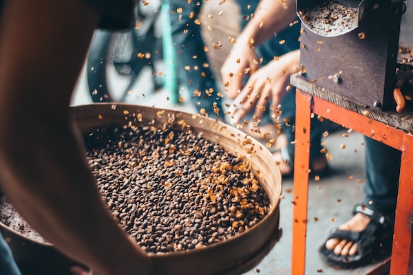 coffee beans being mixed in large sorting/mixing container